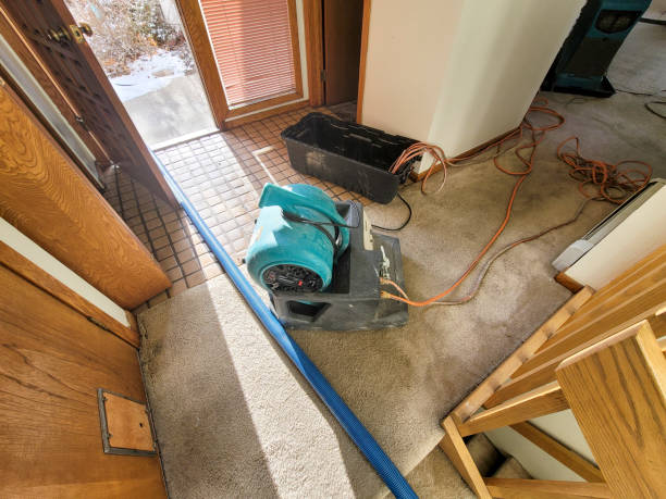 Best Commercial water damage restoration  in Stratford, NJ