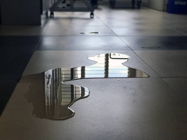 Best Water damage contractors near me  in Stratford, NJ