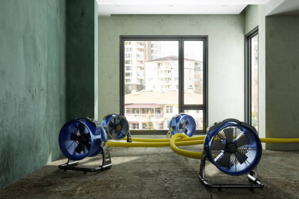 Best Basement water damage restoration  in Stratford, NJ
